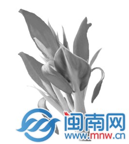 漳浦花3000多万建农村污水处理点 环保